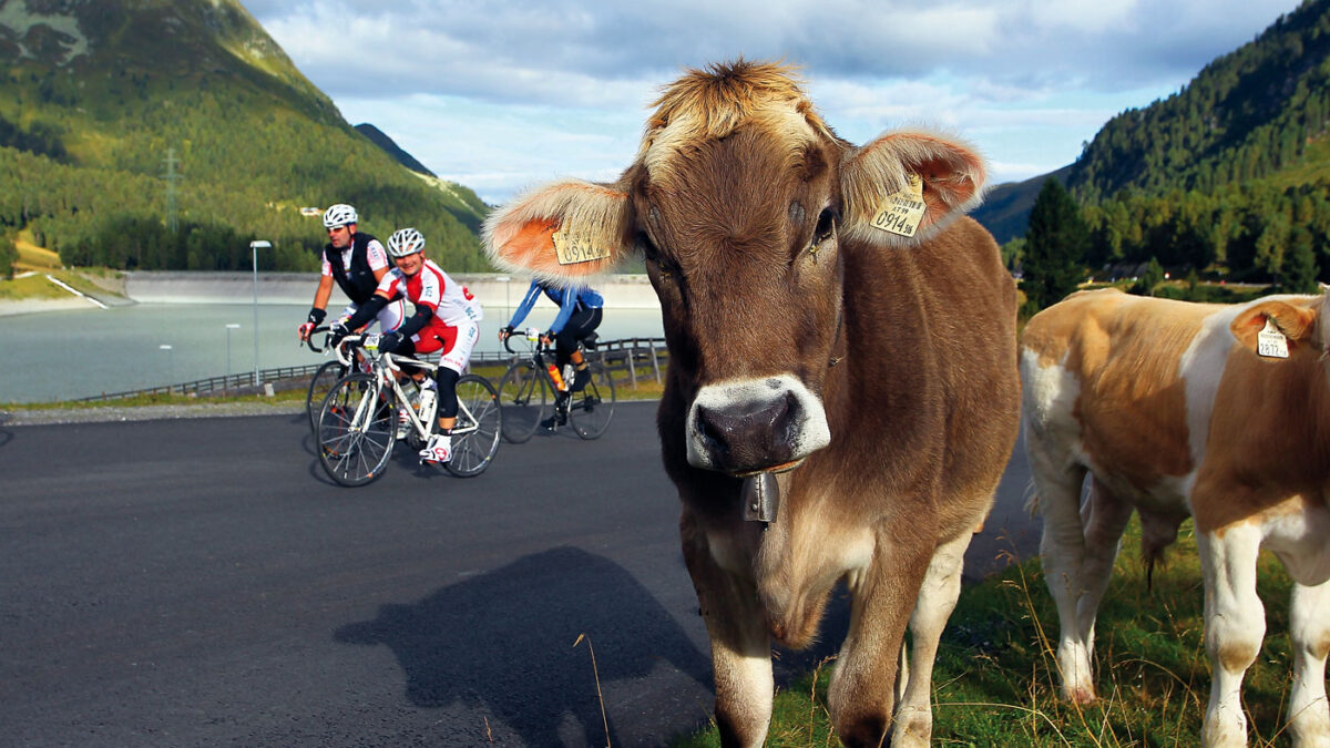 otztaler radmarathon