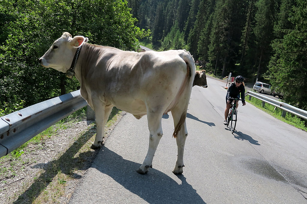 tyrol trasy rowerowe