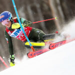 shiffrin