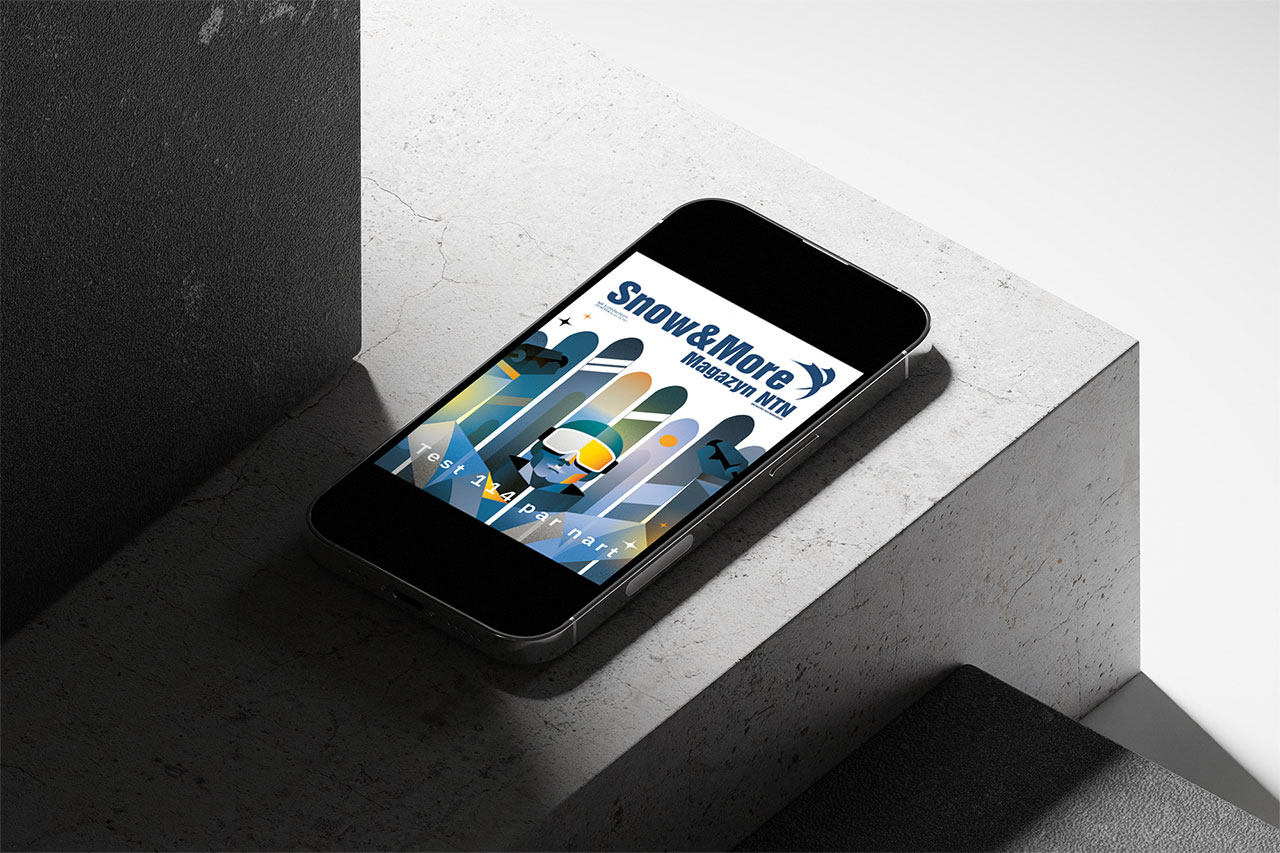 magazyn ntn pdf